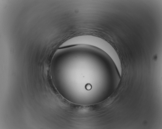 X0000112890235200908281708