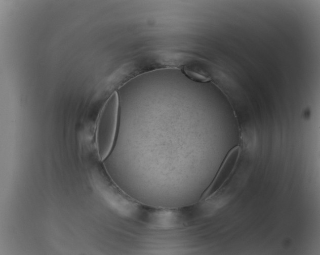 X0000112890237200908281708