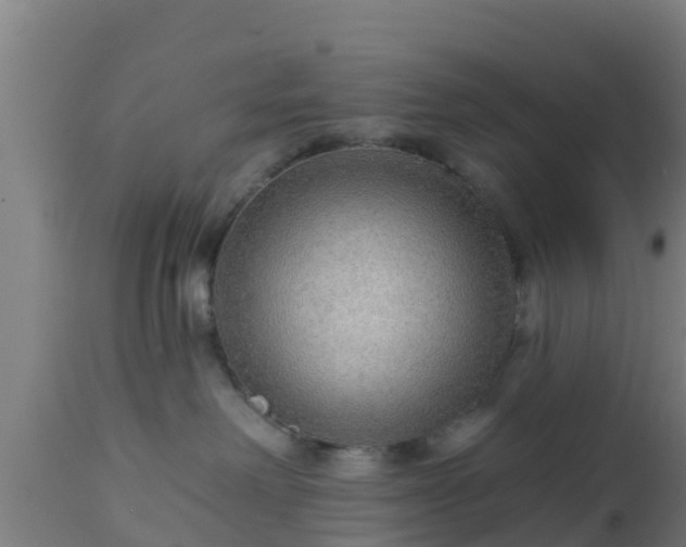 X0000112890238200908281708