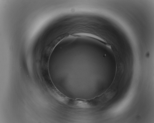X0000112890239200908281708