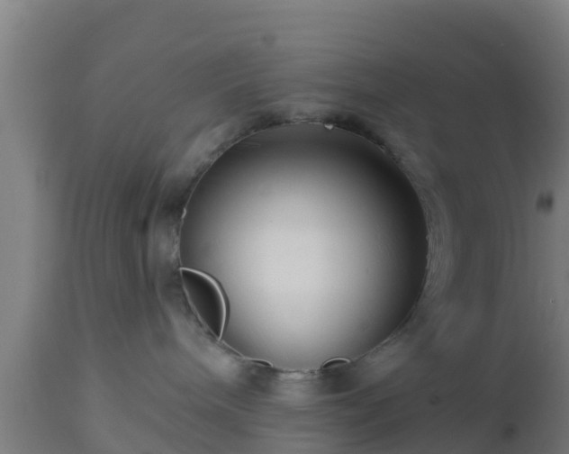 X0000112890240200908281708
