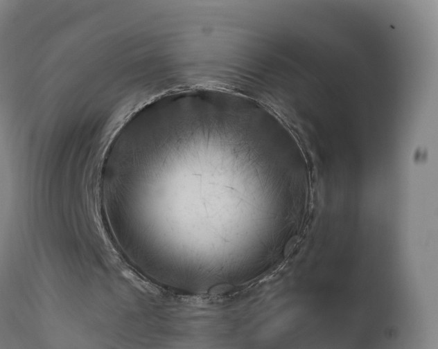 X0000112890241200908281707