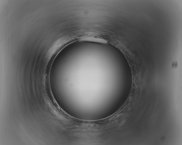 X0000112890242200908281707