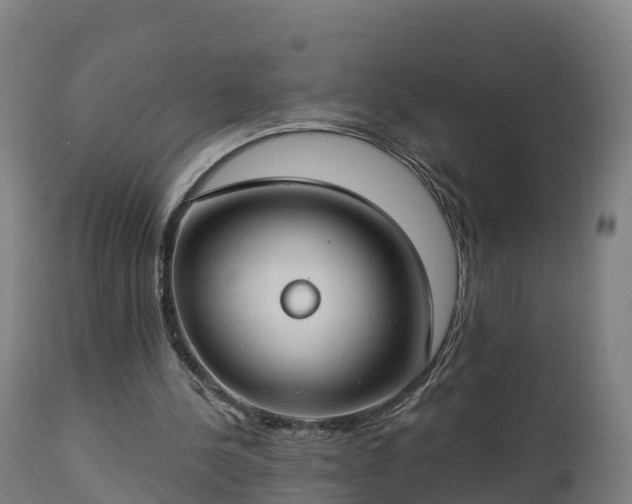X0000112890244200908281707