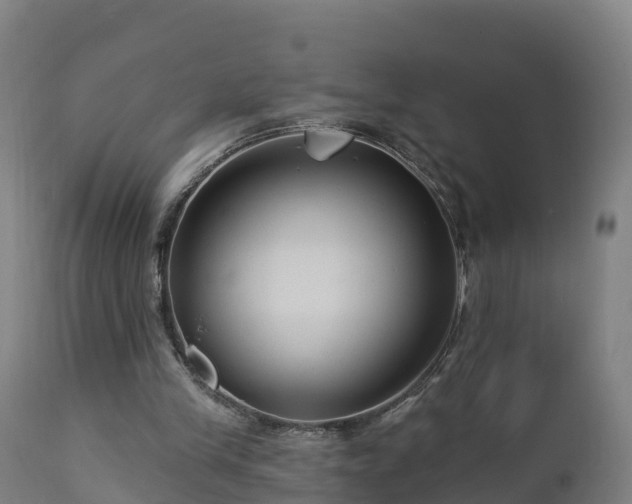 X0000112890245200908281707