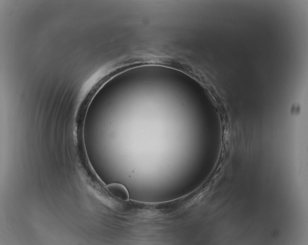 X0000112890246200908281707