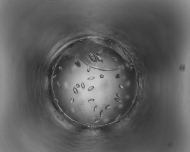X0000112890247200908281707