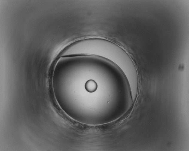X0000112890248200908281707