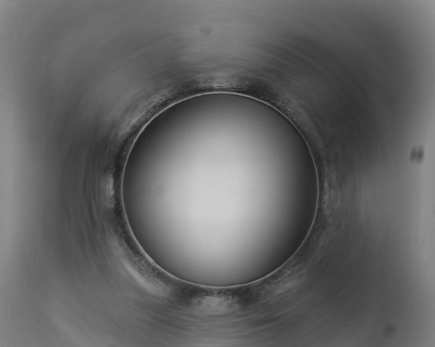 X0000112890251200908281707