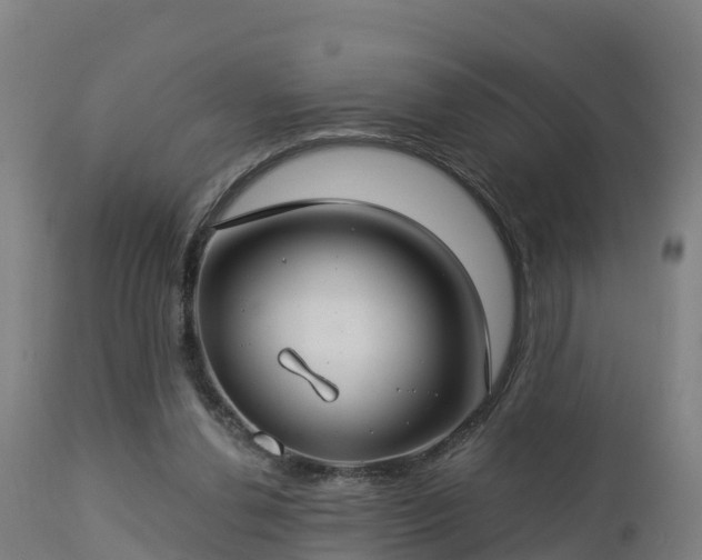 X0000112890252200908281707