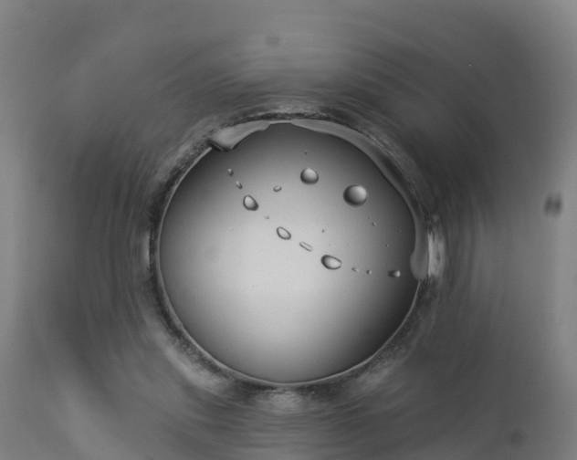 X0000112890253200908281707
