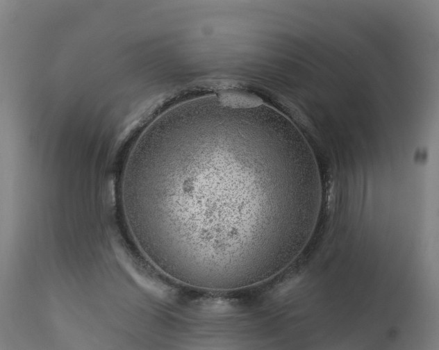 X0000112890254200908281707