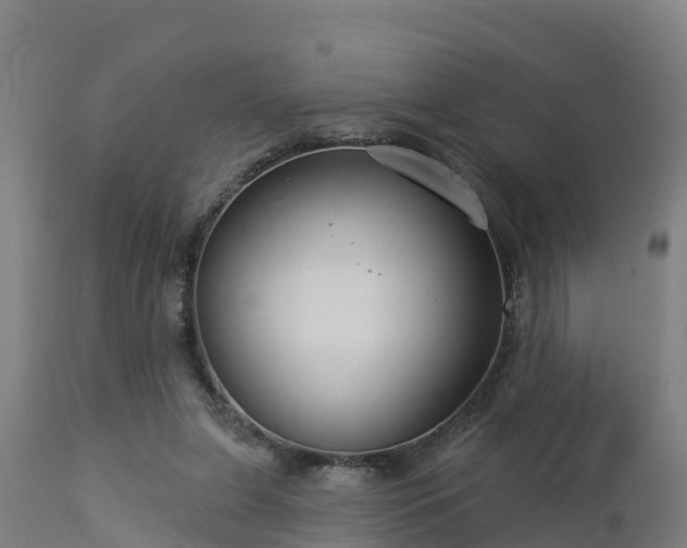 X0000112890255200908281707