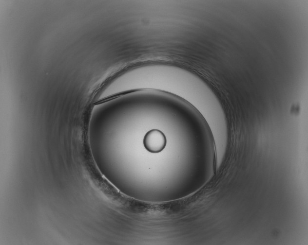 X0000112890256200908281707