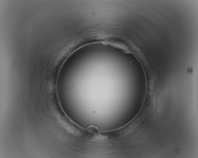 X0000112890257200908281707