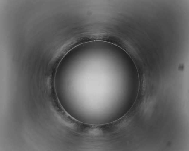X0000112890258200908281707