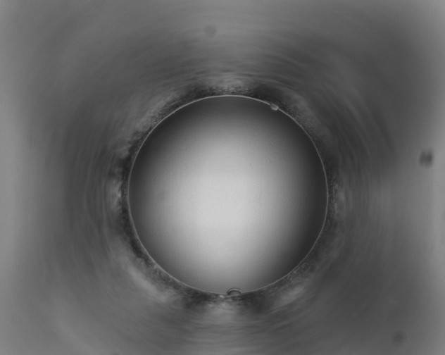 X0000112890259200908281708