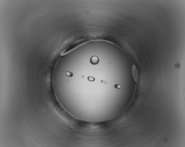 X0000112890260200908281708