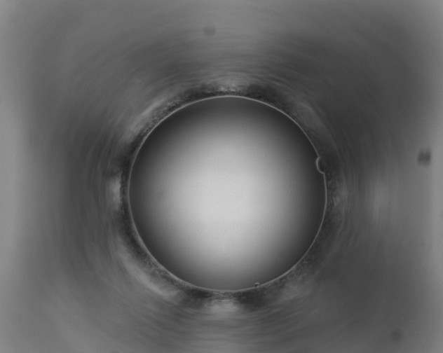 X0000112890262200908281708
