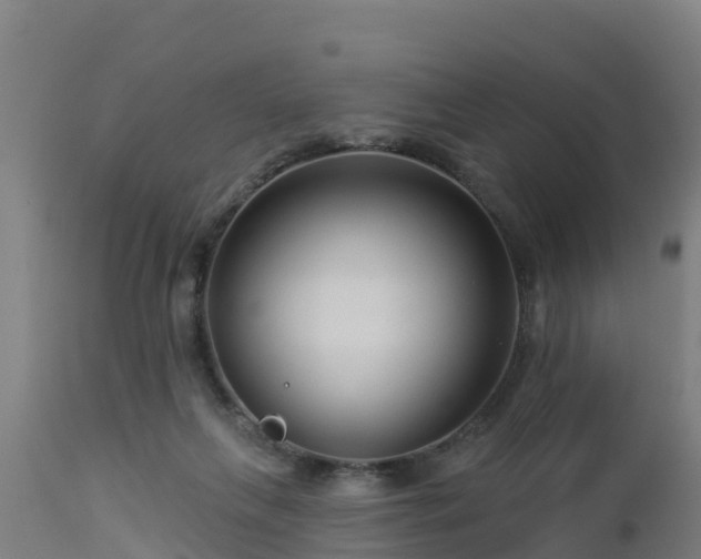 X0000112890263200908281708