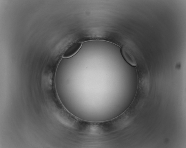 X0000112890264200908281708