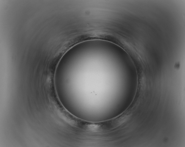 X0000112890265200908281708