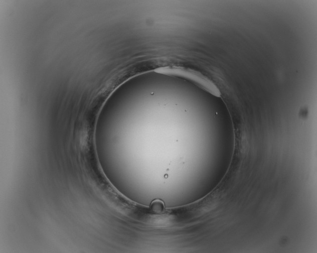 X0000112890266200908281708