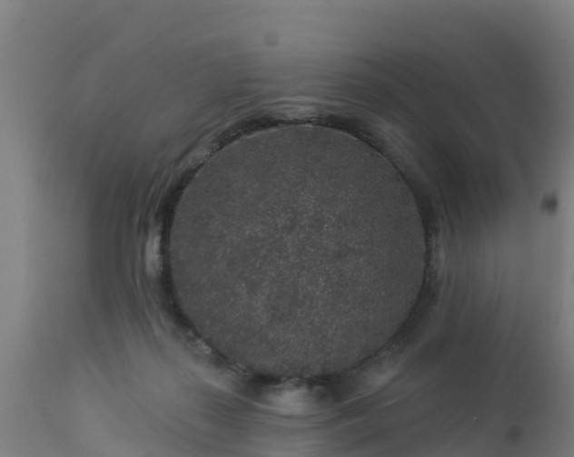 X0000112890267200908281708