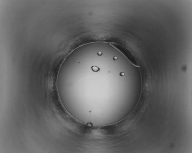 X0000112890268200908281708