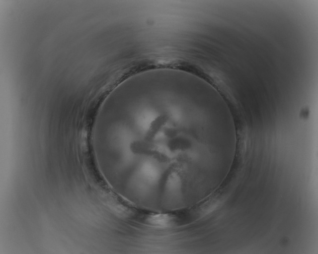 X0000112890269200908281708
