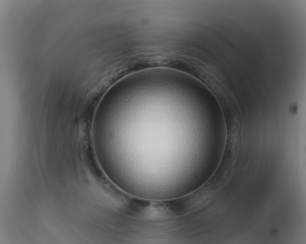 X0000112890270200908281708