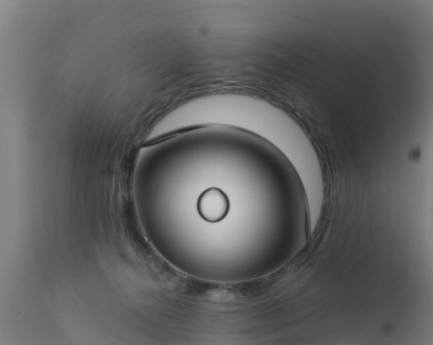 X0000112890272200908281708