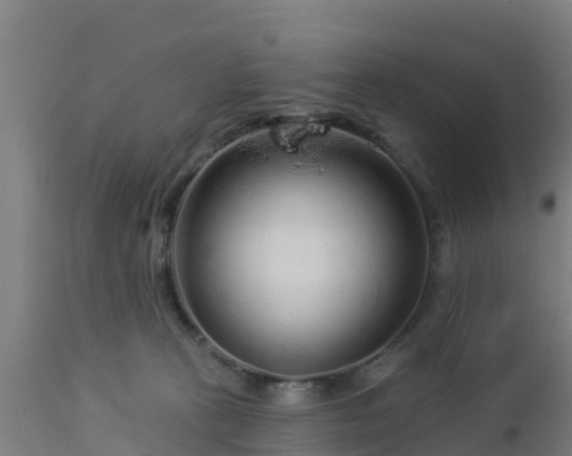 X0000112890273200908281708