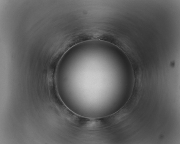 X0000112890274200908281708