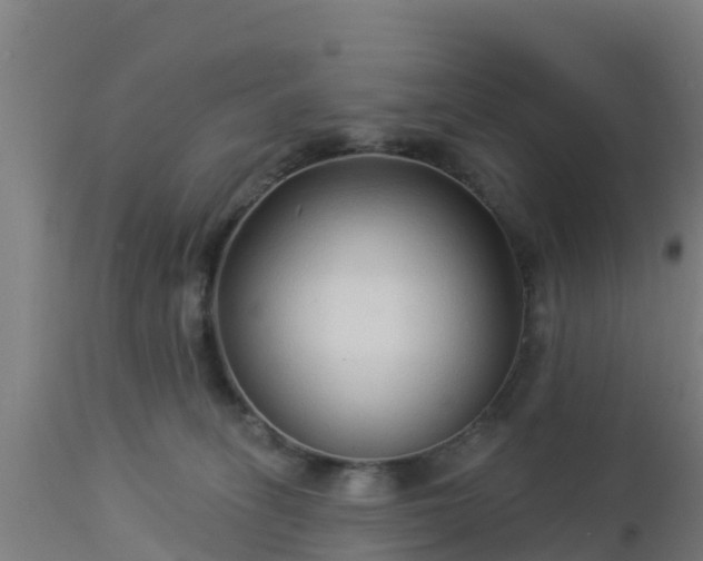 X0000112890275200908281708