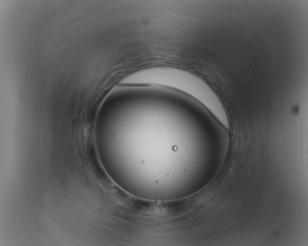 X0000112890276200908281708