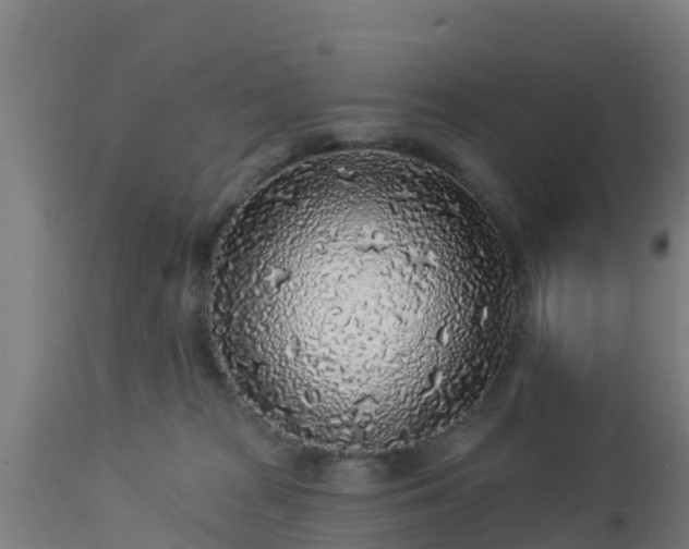X0000112890277200908281708