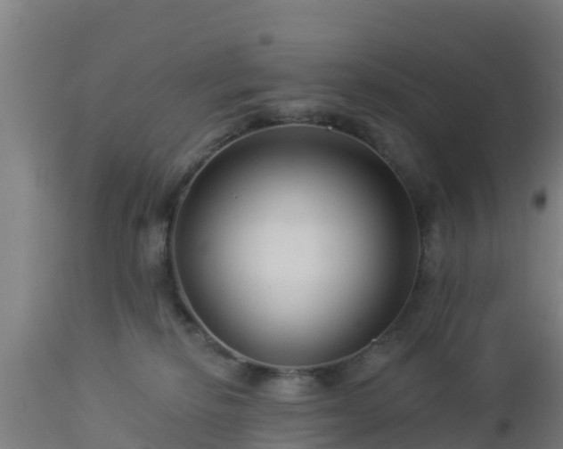 X0000112890278200908281708