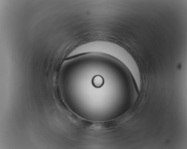 X0000112890280200908281708