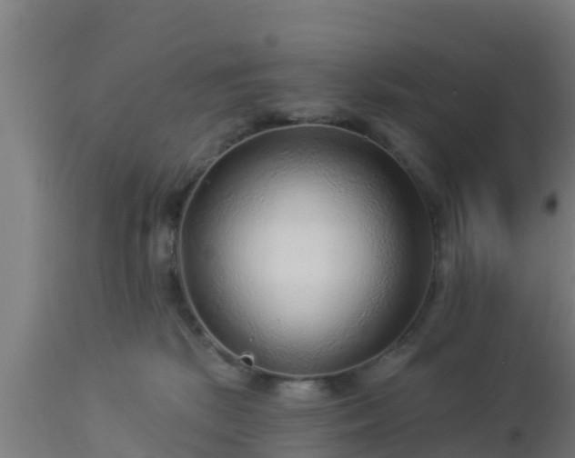 X0000112890281200908281708