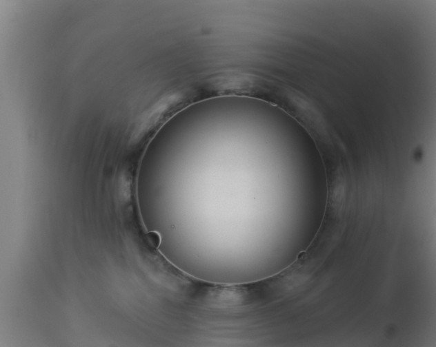 X0000112890282200908281708