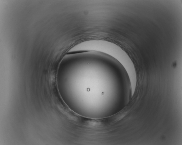 X0000112890284200908281708