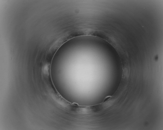 X0000112890286200908281708