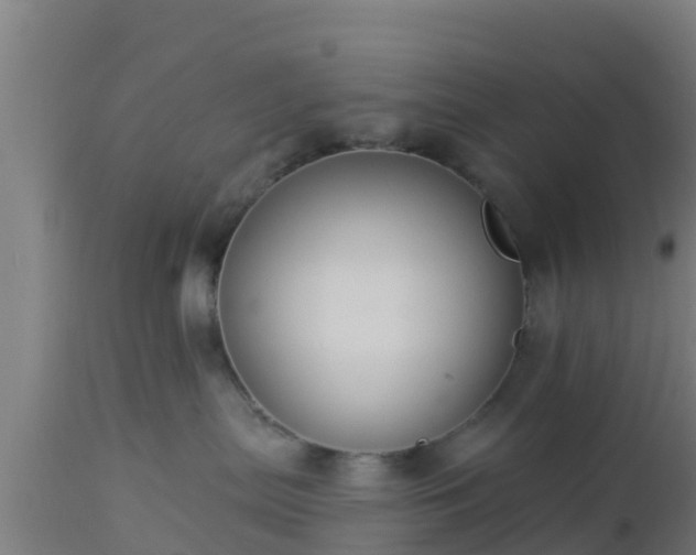 X0000112890287200908281708