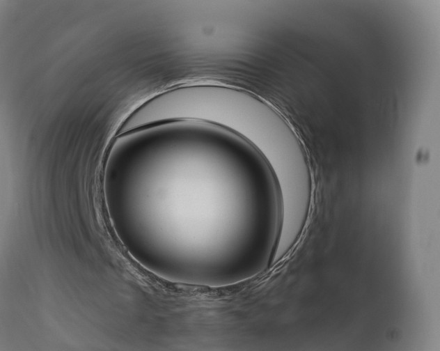 X0000112890289200908281707