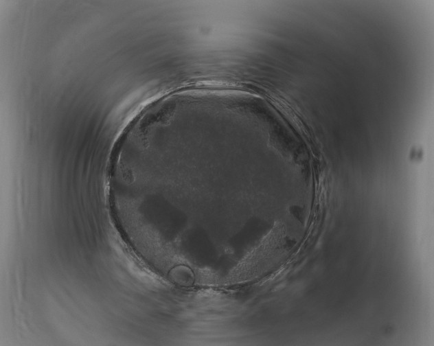 X0000112890290200908281707