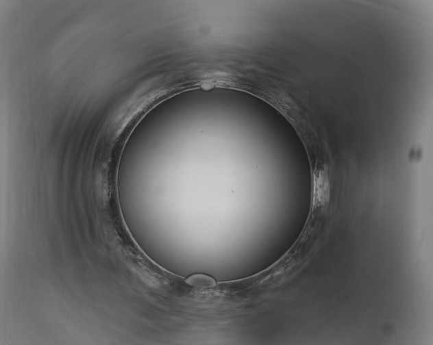 X0000112890291200908281707