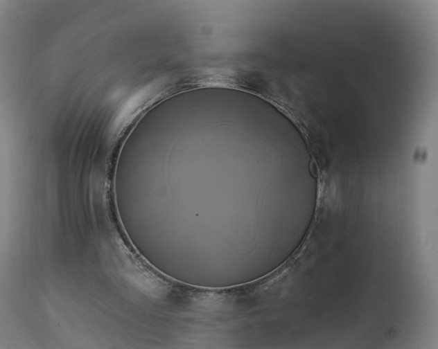 X0000112890293200908281707