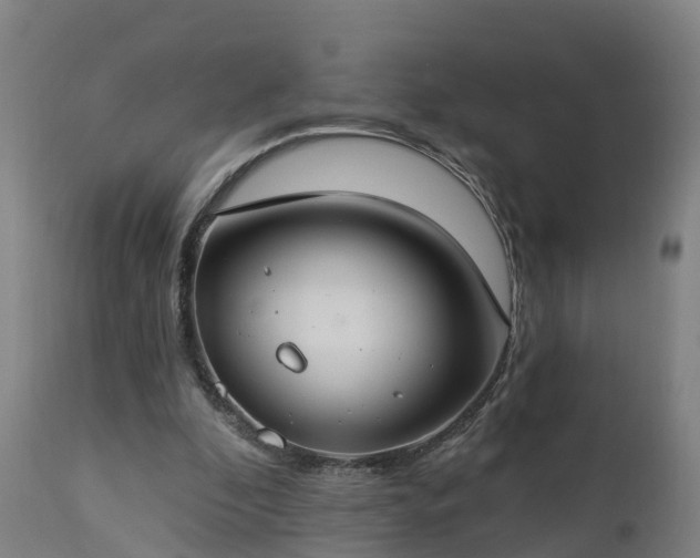 X0000112890296200908281707