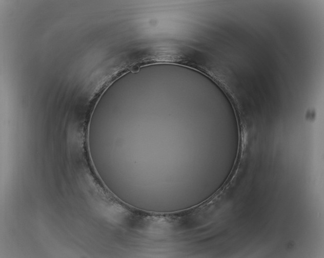 X0000112890297200908281707
